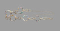T Cinturón cadena carey brillos colores